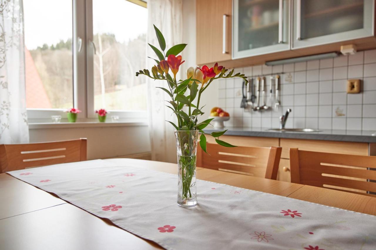 Apartman Svoboda Svoboda nad Upou Ngoại thất bức ảnh